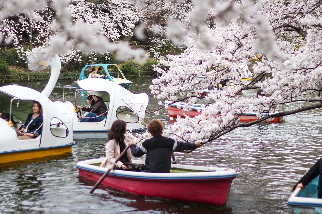 🏞️ 이노카시라 은사공원(이노카시라 온시코엔)